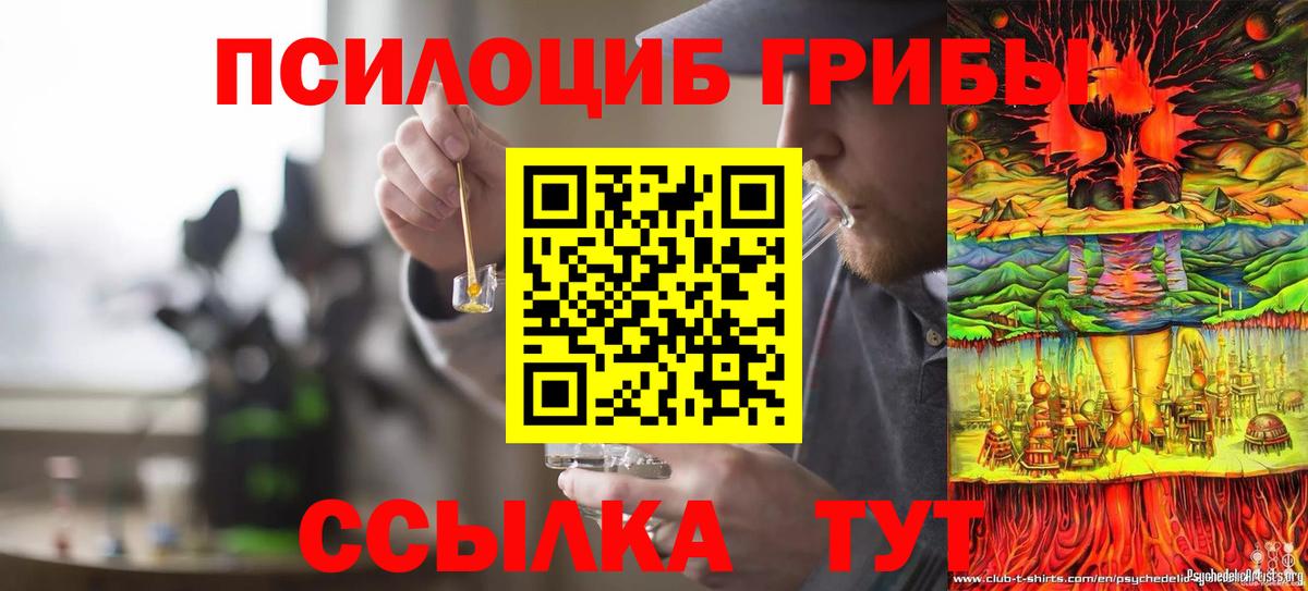 Псилоцибиновые грибы ЛСД  Галлюциногенные грибы Psilocybine cubensis  Вход с VPN  Подольск 
